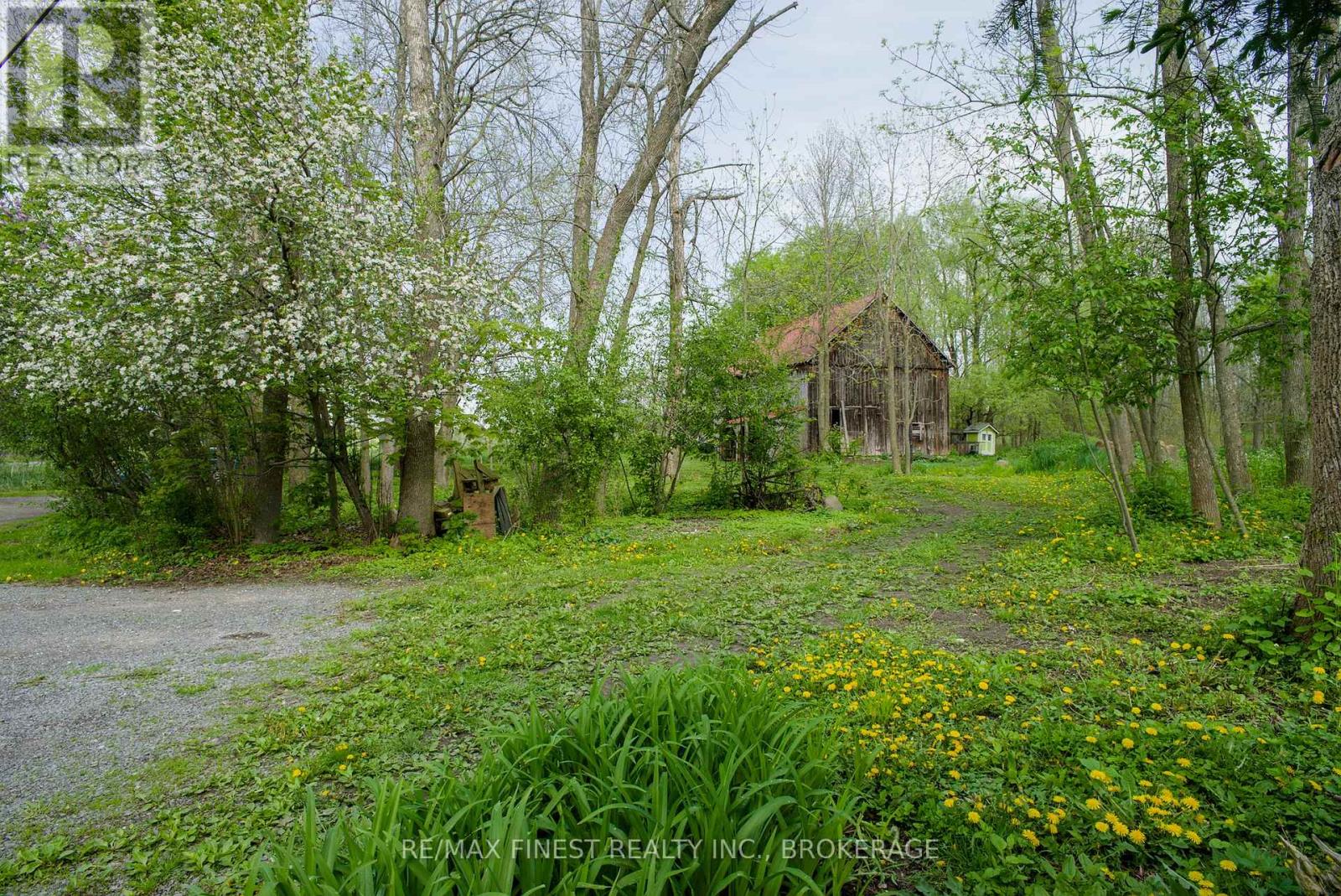 14005 Front Road, Loyalist, Ontario  K0H 2S0 - Photo 38 - X12177908