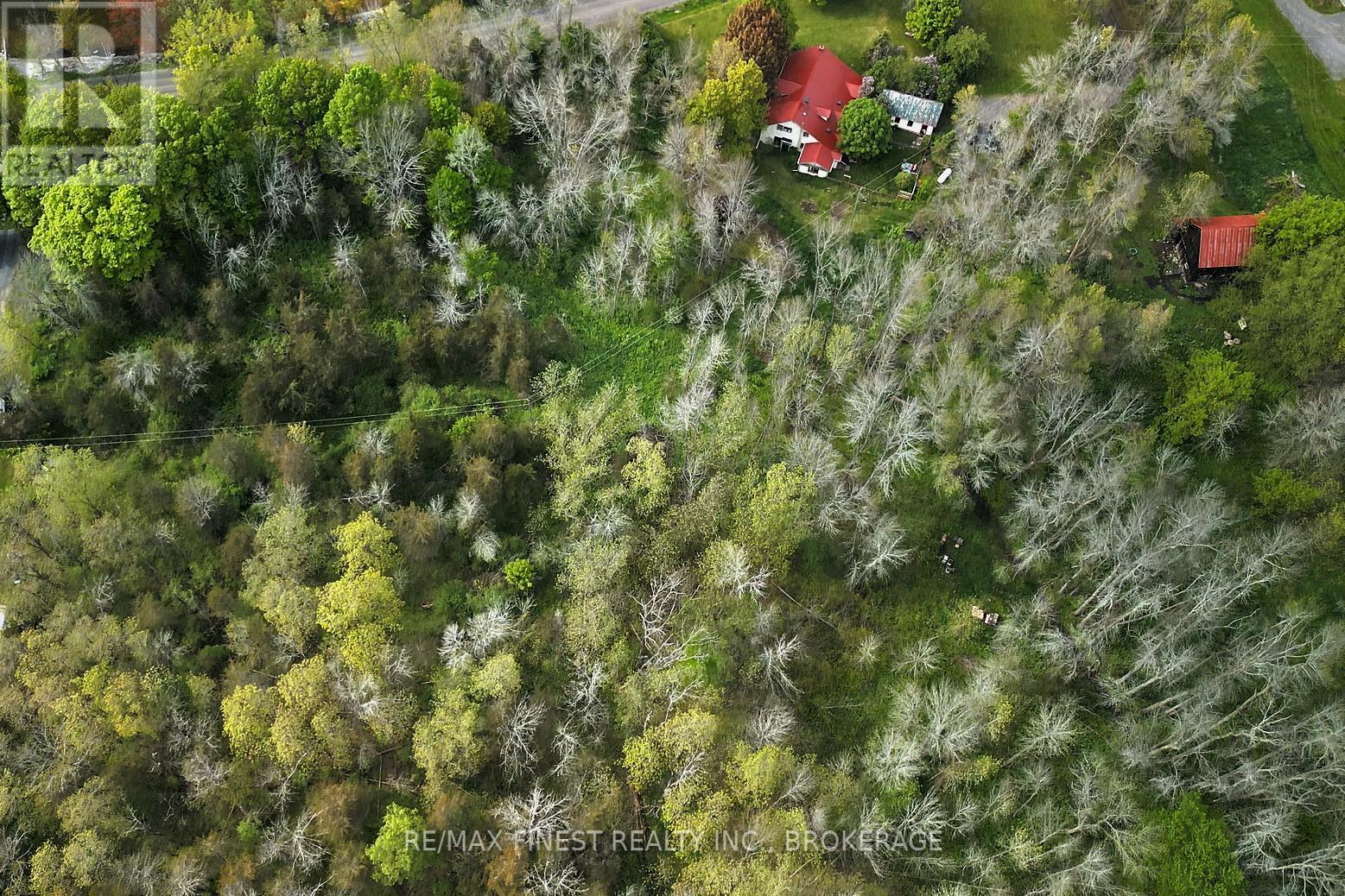 14005 Front Road, Loyalist, Ontario  K0H 2S0 - Photo 43 - X12177908