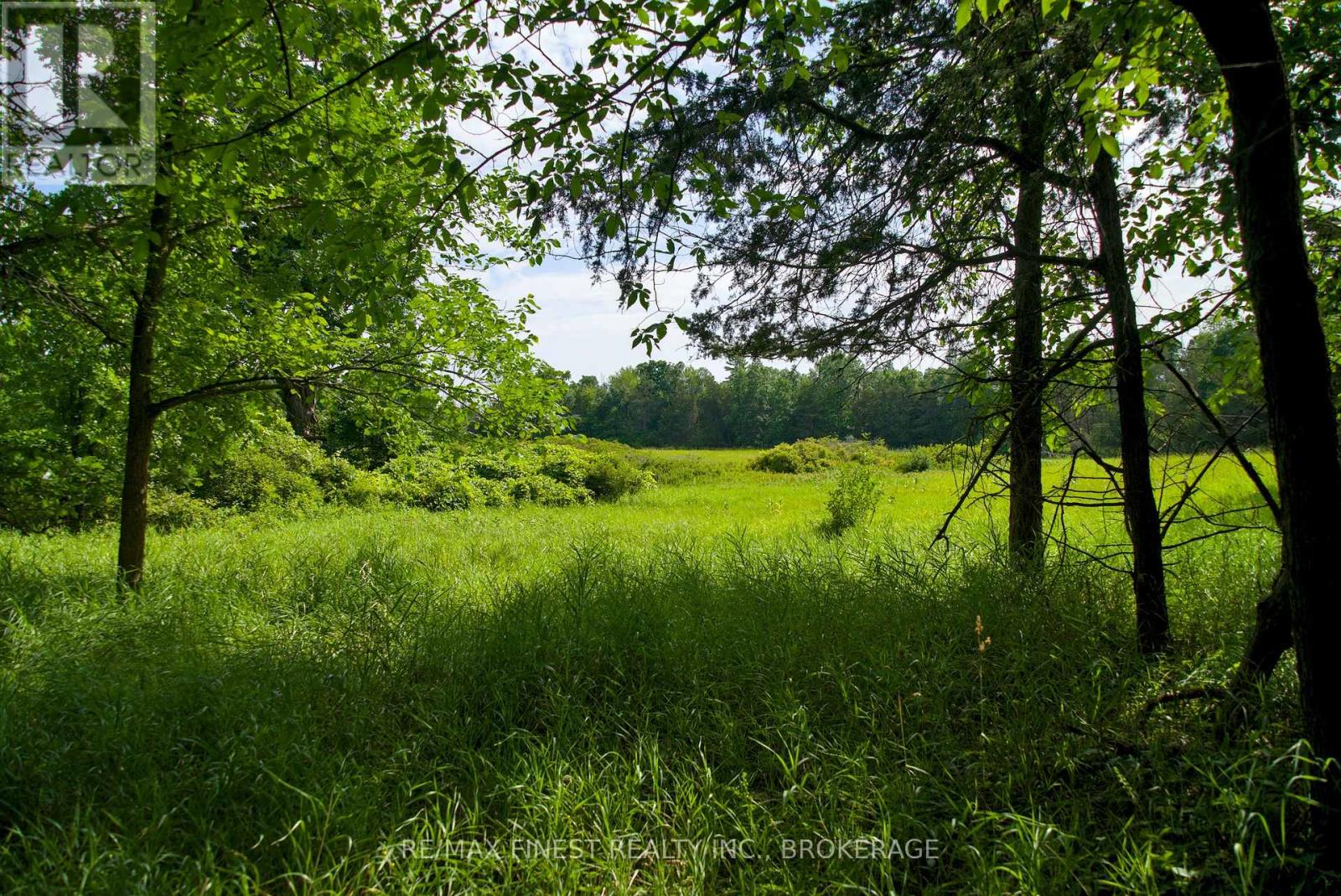 14005 Front Road, Loyalist, Ontario  K0H 2S0 - Photo 49 - X12177908