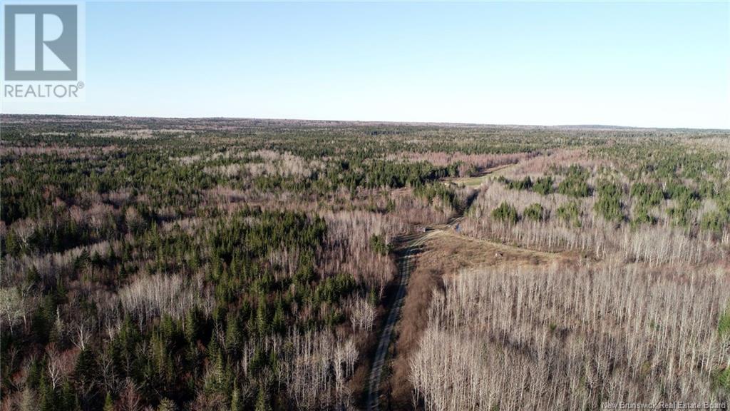 000 Kingsley Road, Estey's Bridge, New Brunswick  E3A 6G2 - Photo 8 - NB116940