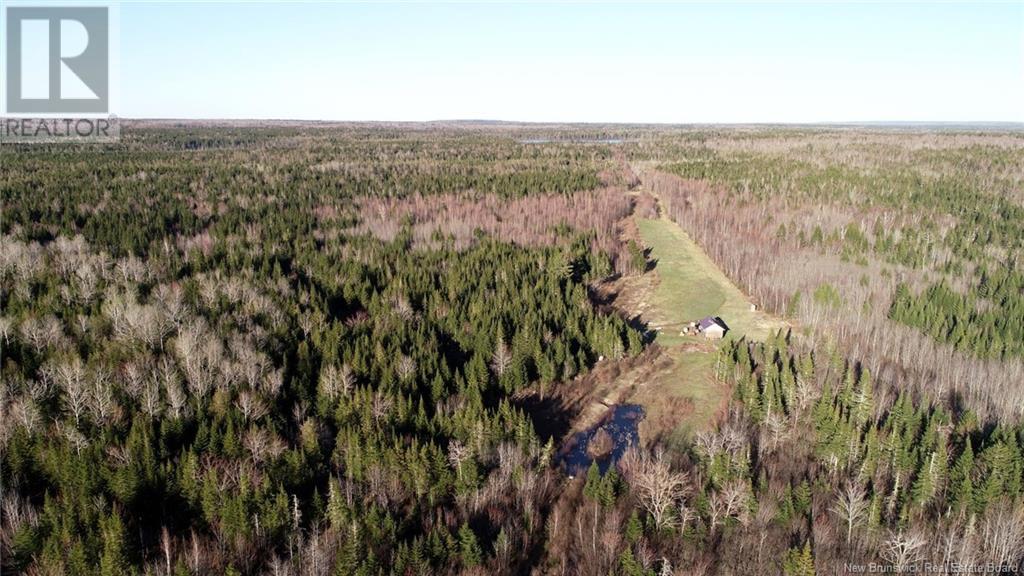 000 Kingsley Road, Estey's Bridge, New Brunswick  E3A 6G2 - Photo 43 - NB116943