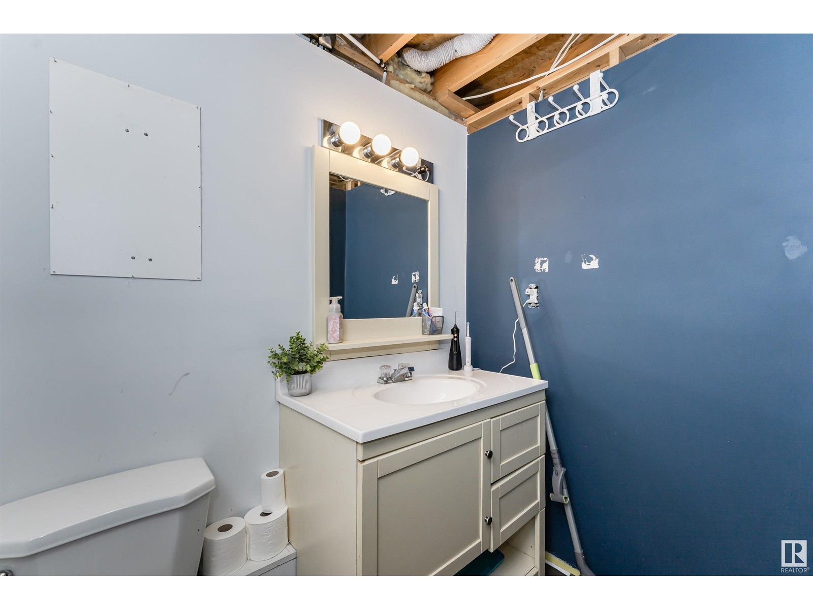 1564 Jarvis Cr Nw, Edmonton, Alberta  T6L 6S3 - Photo 37 - E4438820