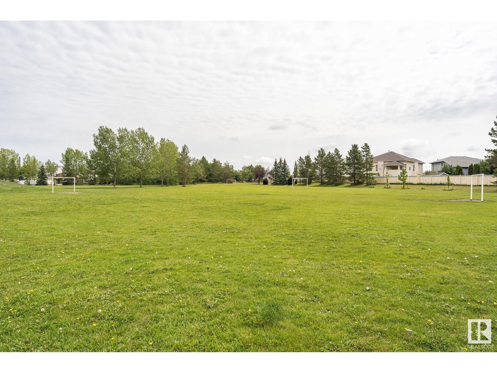 1564 Jarvis Cr Nw, Edmonton, Alberta  T6L 6S3 - Photo 47 - E4438820