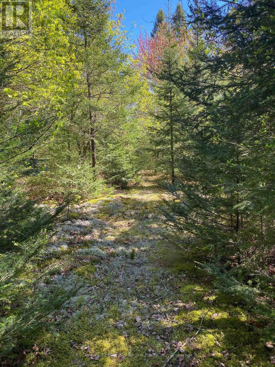 471 Weiler Line, Powassan, Ontario  P0H 2L0 - Photo 4 - X12178086