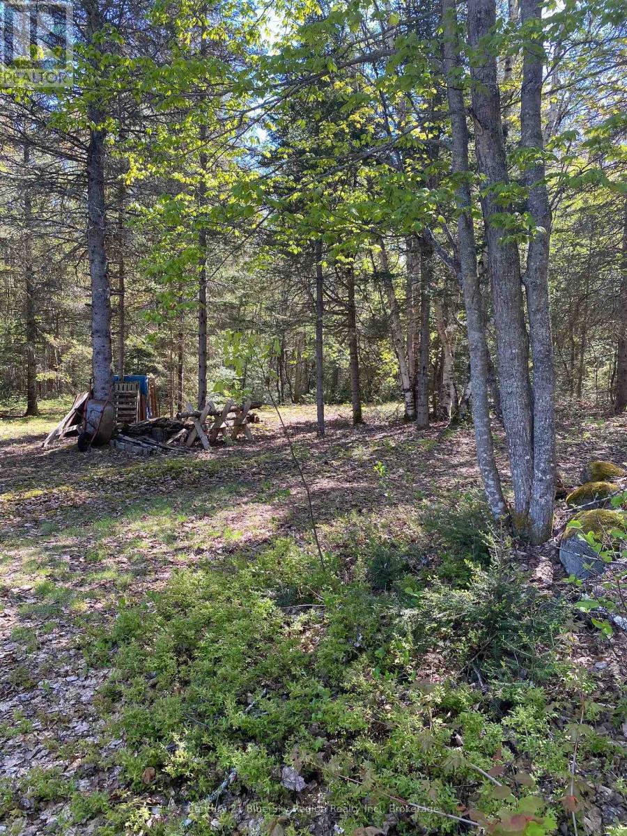 471 Weiler Line, Powassan, Ontario  P0H 2L0 - Photo 7 - X12178086