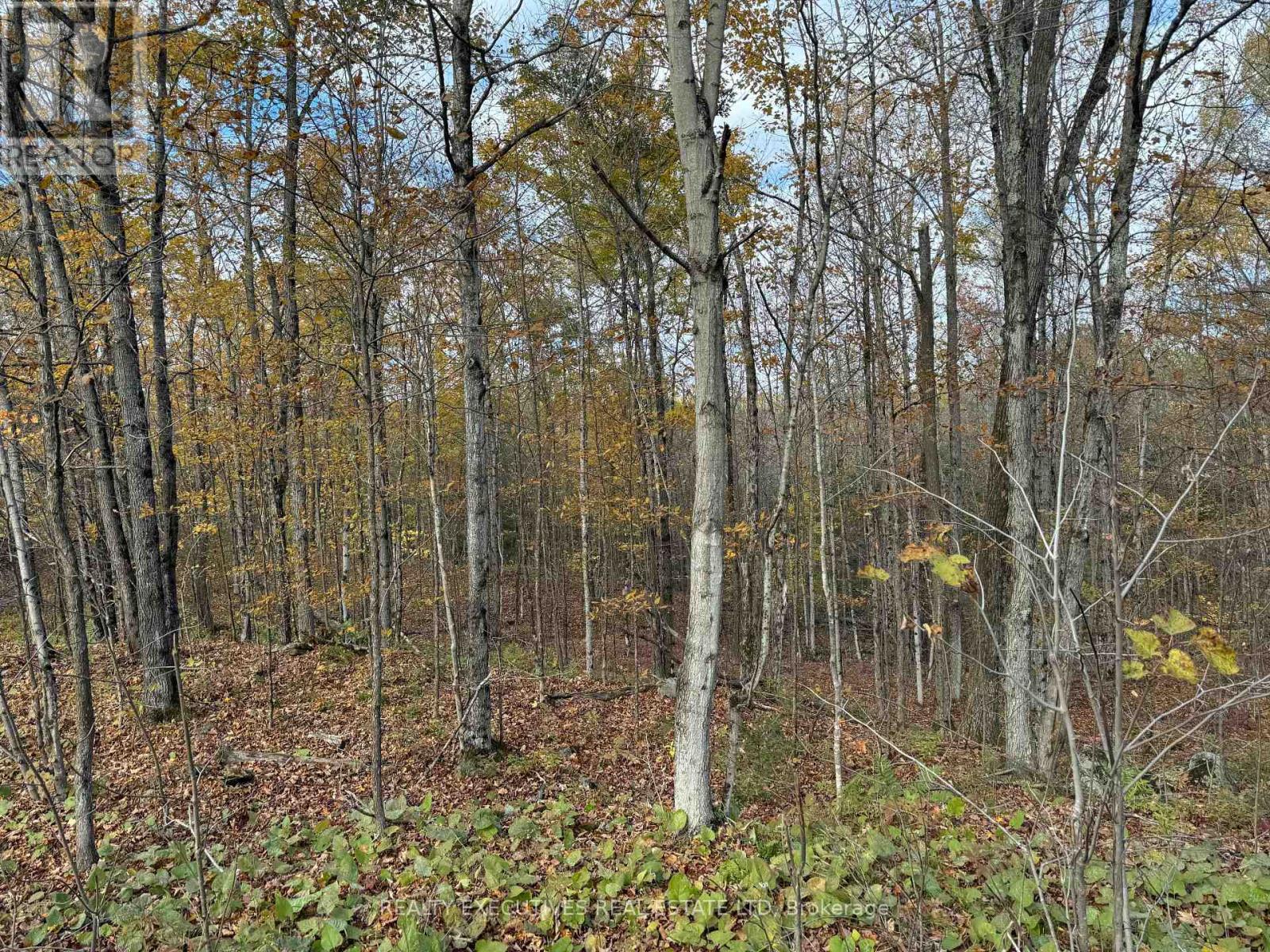 0000 Baker Valley Road, Frontenac, Ontario  K0H 1B0 - Photo 4 - X12178036