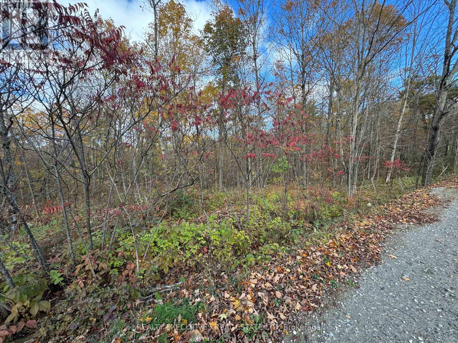 0000 Baker Valley Road, Frontenac, Ontario  K0H 1B0 - Photo 5 - X12178036