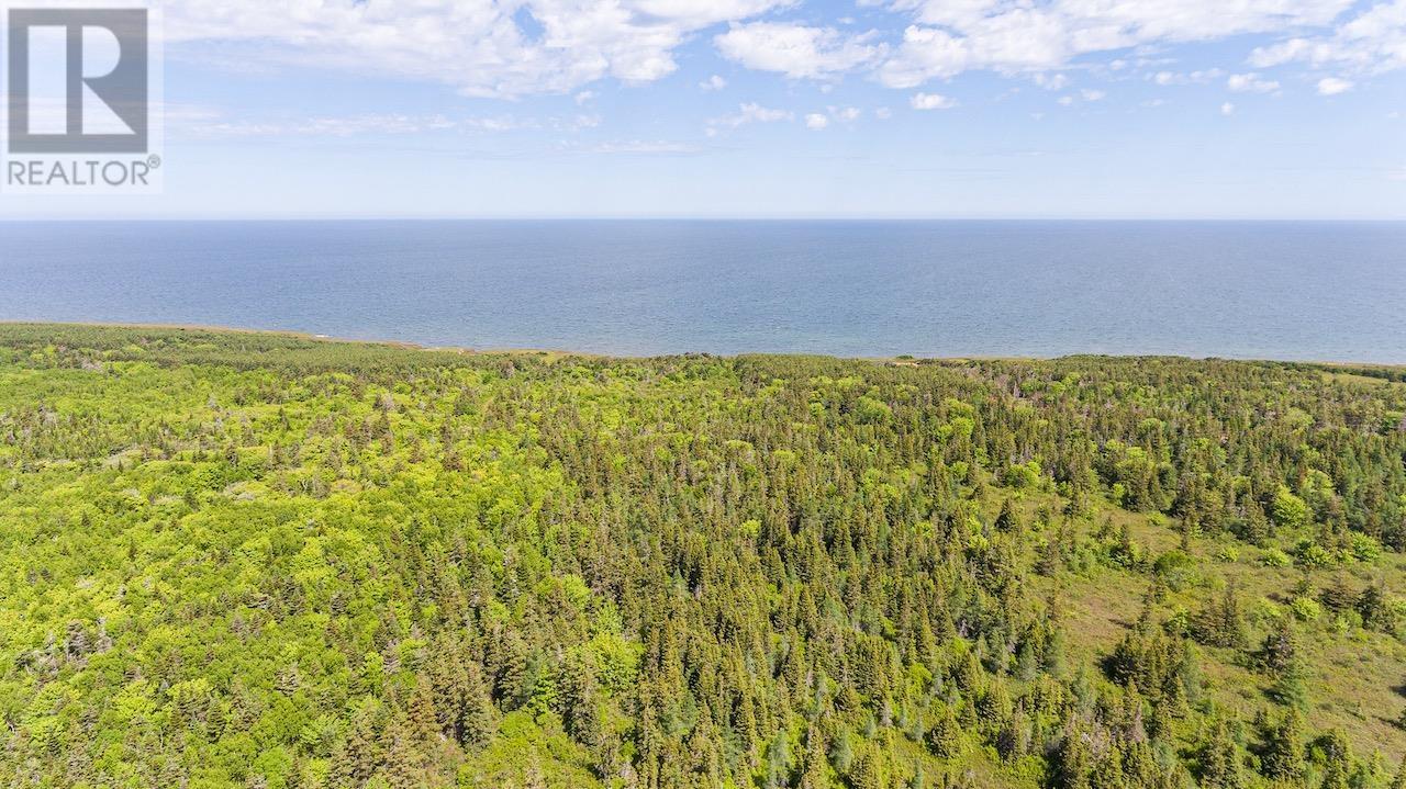 Acreage Northside Road, Rock Barra, Prince Edward Island  C0A 2B0 - Photo 20 - 202512549
