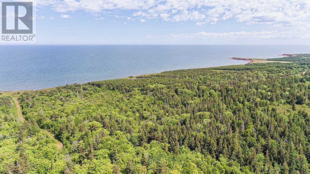 Acreage Northside Road, Rock Barra, Prince Edward Island  C0A 2B0 - Photo 22 - 202512549