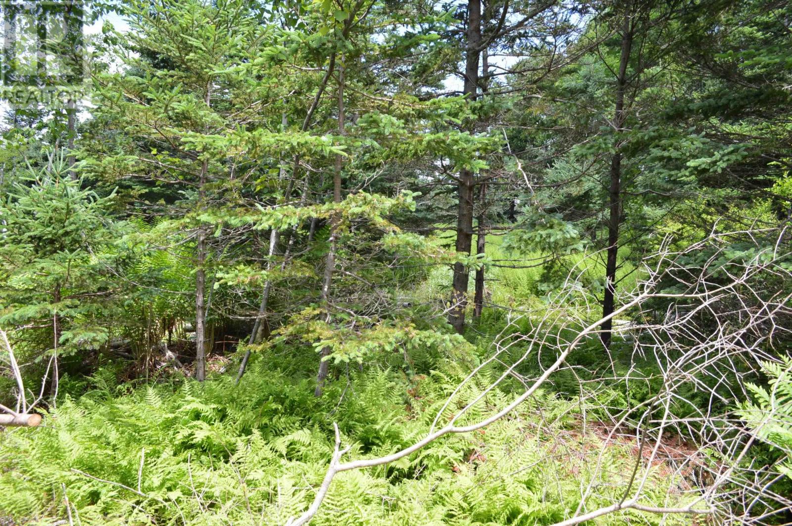 Lot Pid60169216 Blue Rocks Road, Garden Lots, Nova Scotia  B0J 2C0 - Photo 19 - 202511256