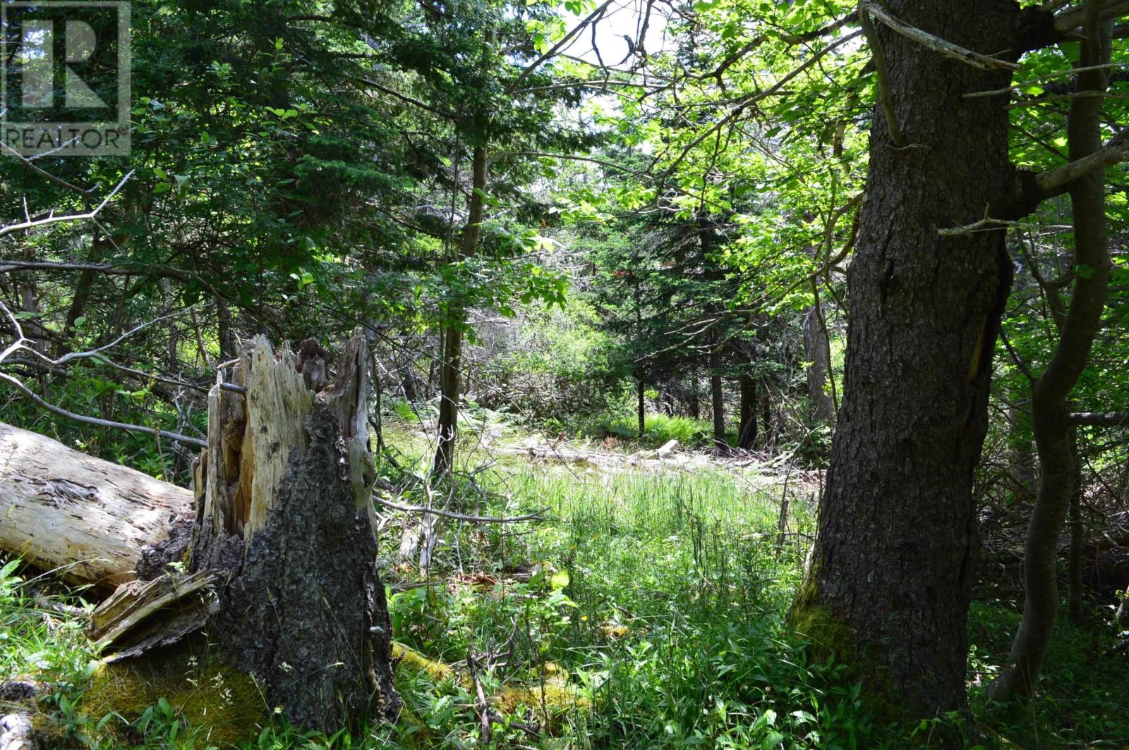 Lot Pid60169216 Blue Rocks Road, Garden Lots, Nova Scotia  B0J 2C0 - Photo 22 - 202511256