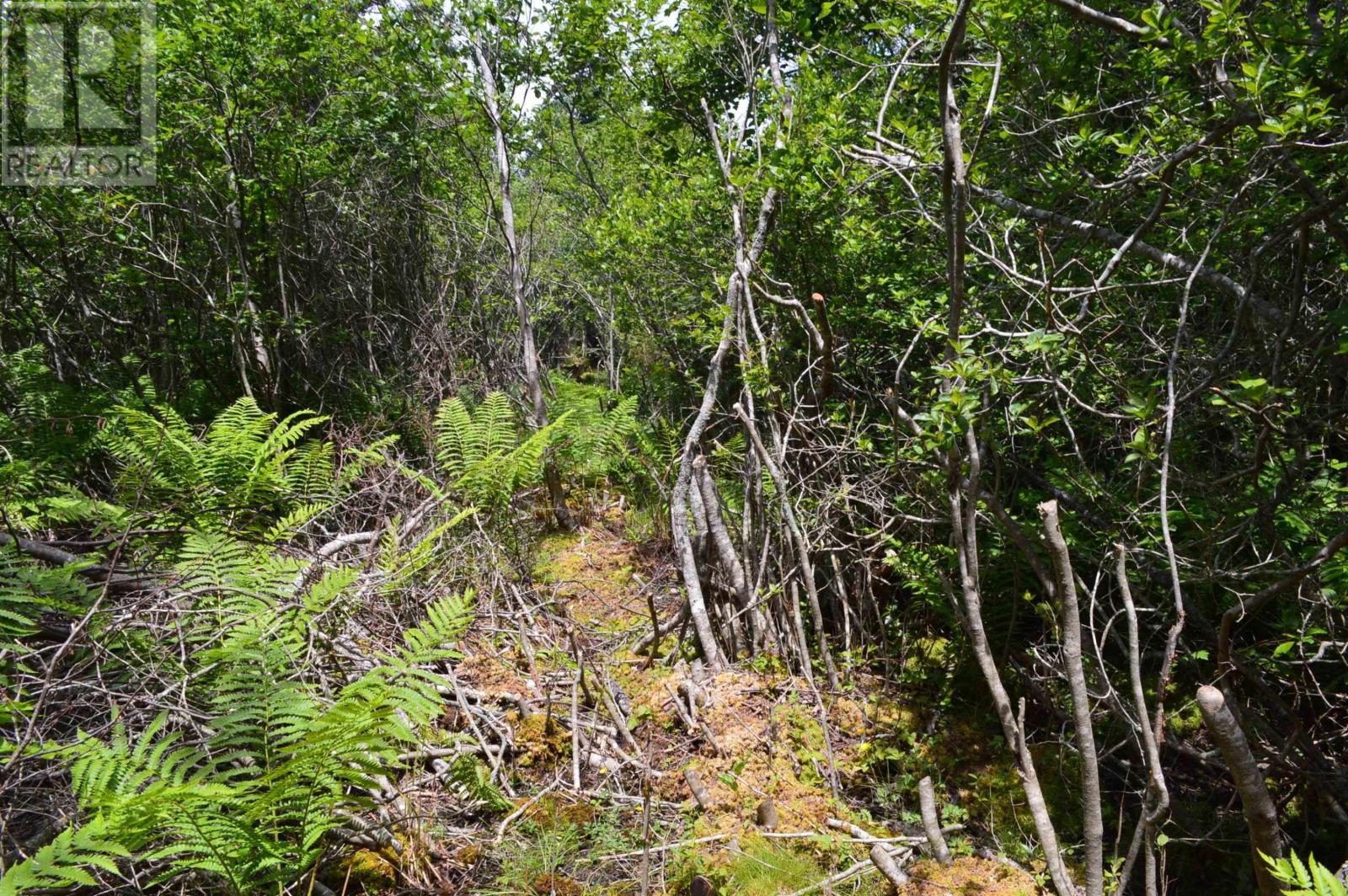 Lot 2 Pid 60169216 Blue Rocks Road, Garden Lots, Nova Scotia  B0J 2C0 - Photo 37 - 202511266