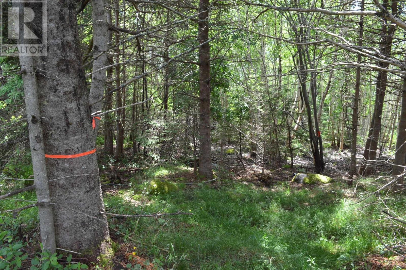 Lot 2 Pid 60169216 Blue Rocks Road, Garden Lots, Nova Scotia  B0J 2C0 - Photo 45 - 202511266