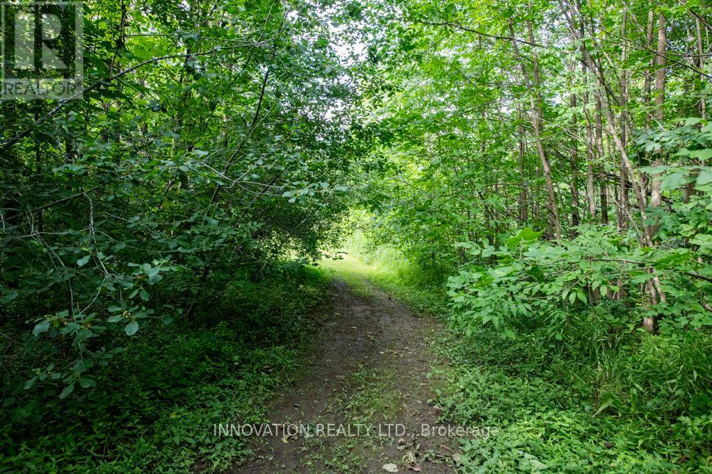 3315 County 21 Road, Edwardsburgh/cardinal, Ontario  K0E 1X0 - Photo 39 - X12148724