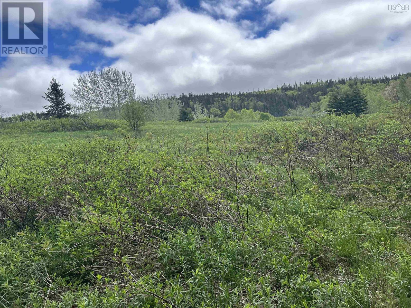 7984 East Bay Highway, Big Pond Centre, Nova Scotia  B1J 1Z4 - Photo 22 - 202512562