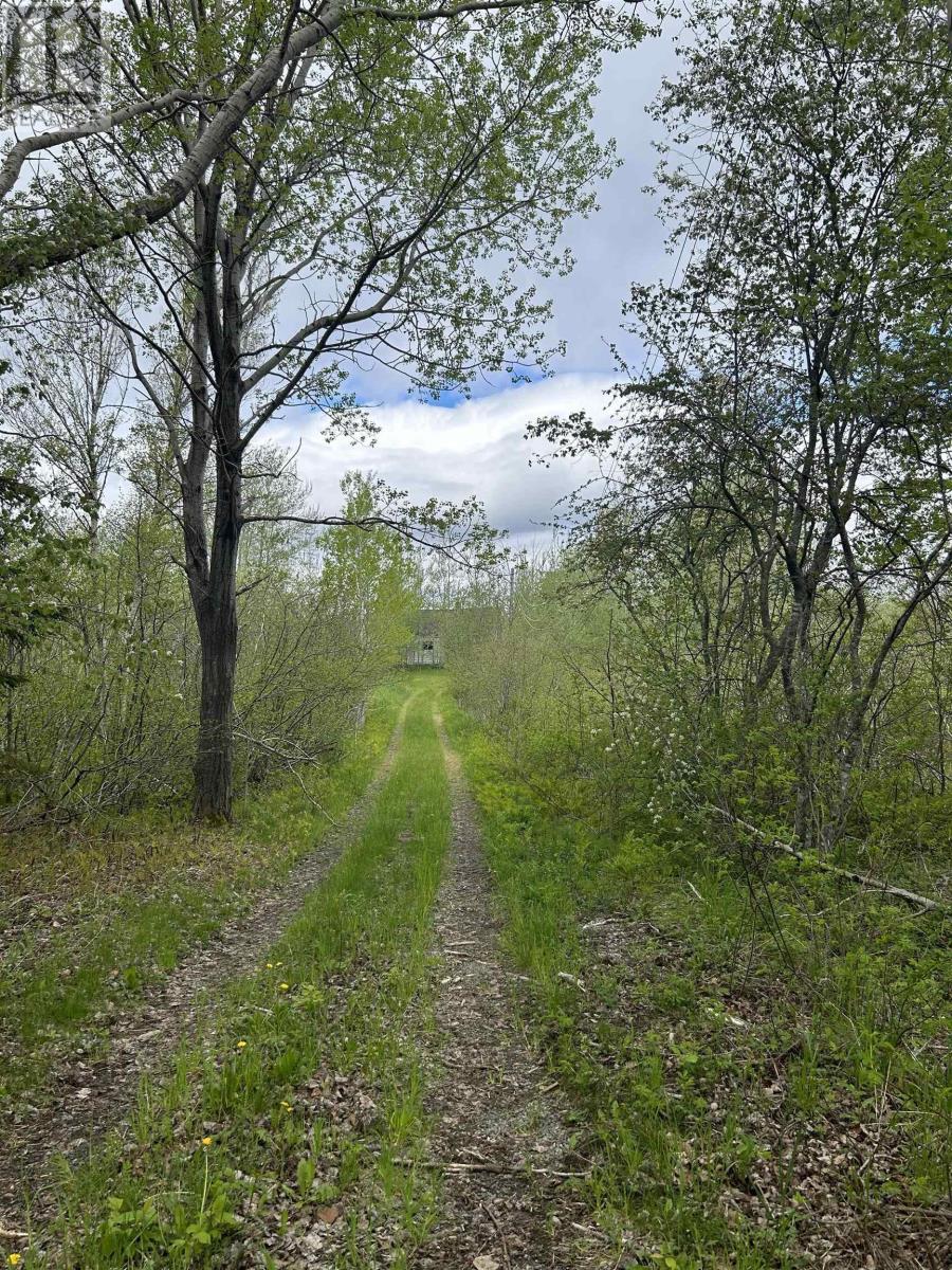 7984 East Bay Highway, Big Pond Centre, Nova Scotia  B1J 1Z4 - Photo 24 - 202512562