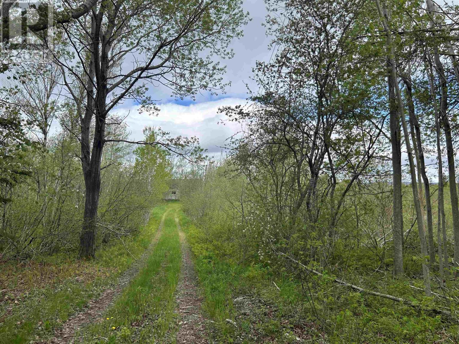7984 East Bay Highway, Big Pond Centre, Nova Scotia  B1J 1Z4 - Photo 27 - 202512562