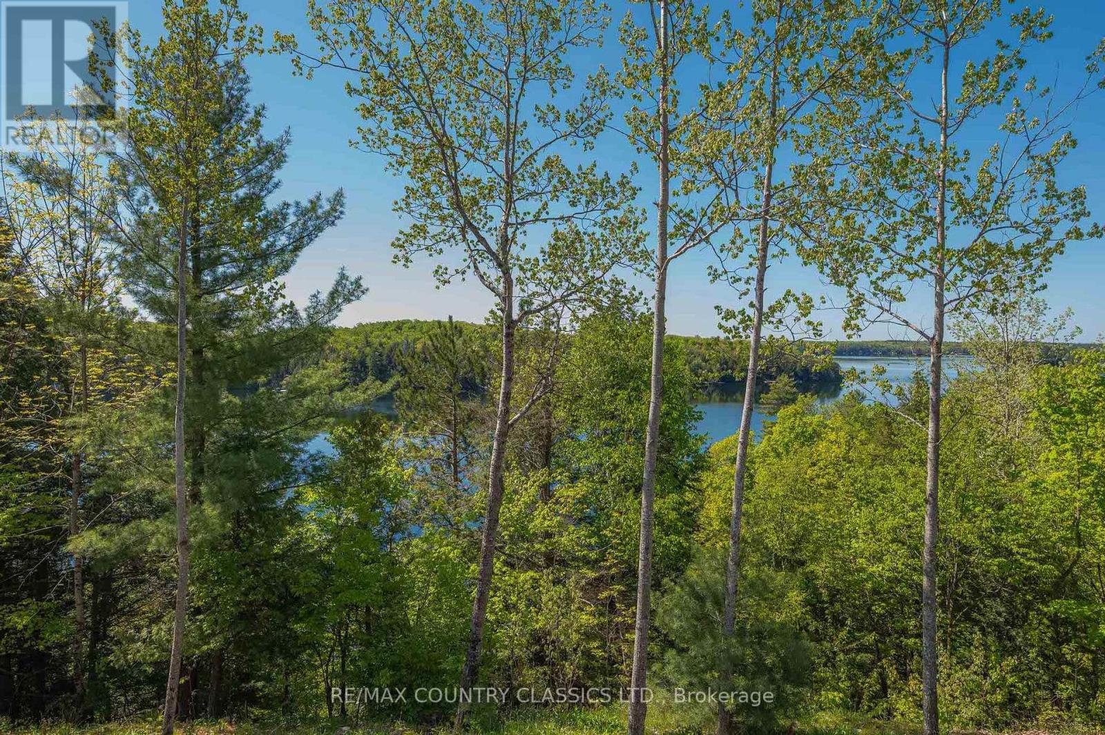 400 Antelope Trail, North Kawartha, Ontario K0L 1A0 - Photo 8 - X12178654