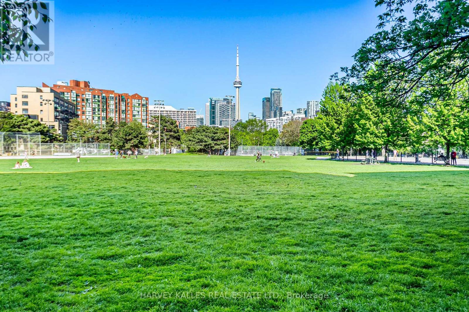 406 - 25 Stafford Street, Toronto, Ontario  M5V 0G3 - Photo 26 - C12178544