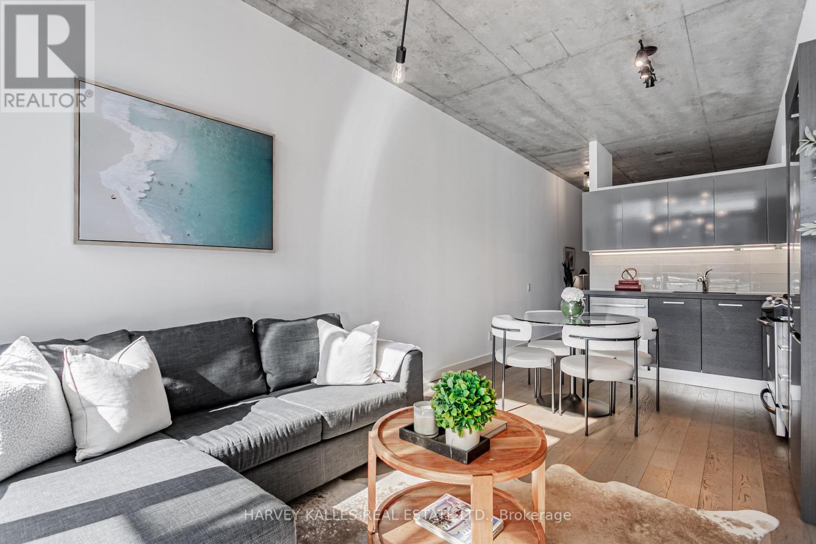 406 - 25 Stafford Street, Toronto, Ontario  M5V 0G3 - Photo 6 - C12178544
