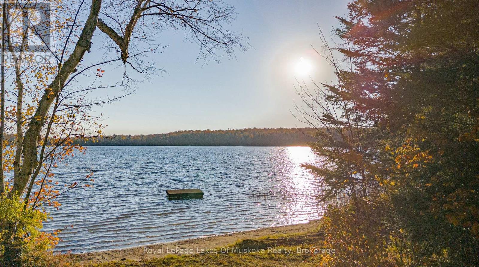 128 Cheer Lake Road, Strong, Ontario  P0A 1X0 - Photo 3 - X12154412