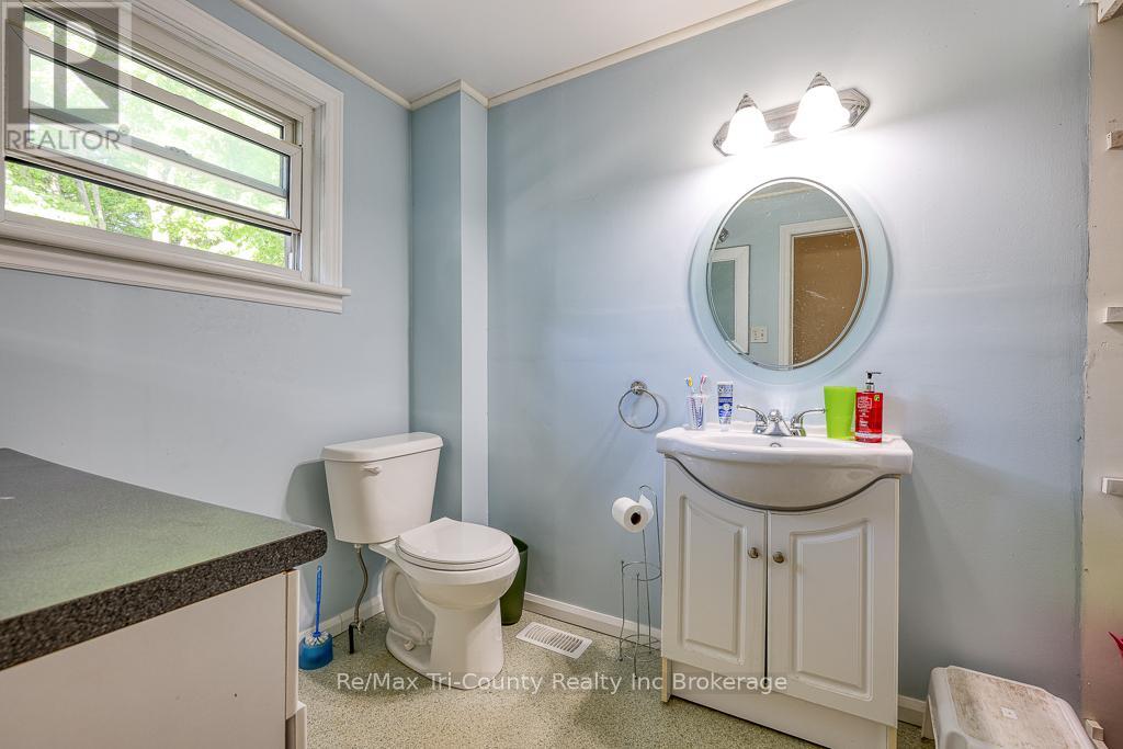 339 Broadway Street, Tillsonburg, Ontario  N4G 3S4 - Photo 34 - X12178780