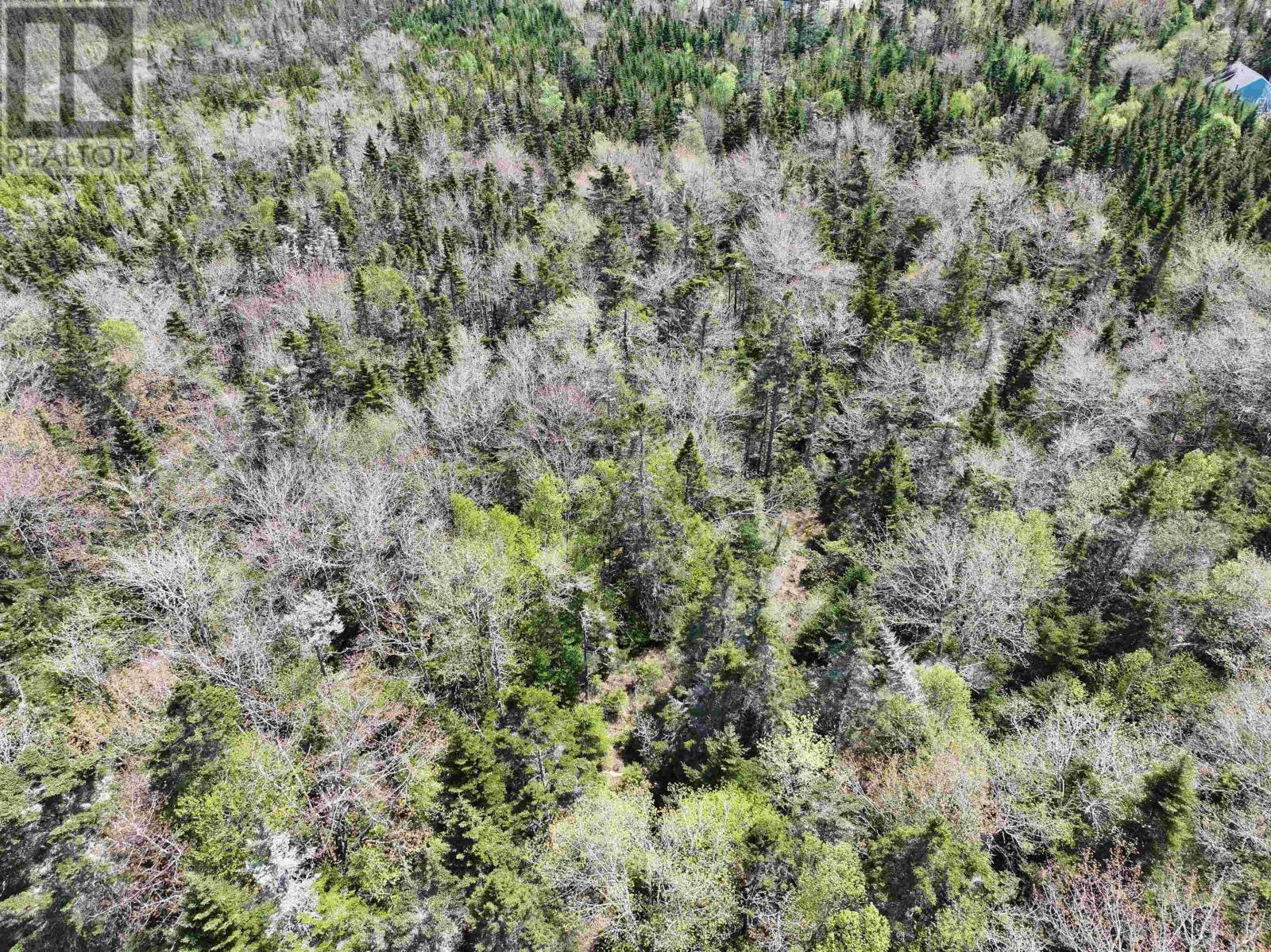 Lot 4 - 5 Maple Tree Lane, West Porters Lake Road, West Porters Lake, Nova Scotia  B3E 1L2 - Photo 14 - 202512525
