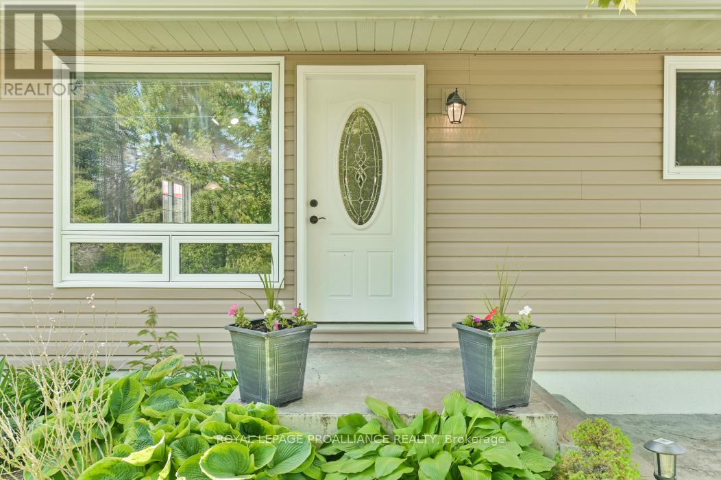 Property at 429 ELZEVIR ROAD image 3