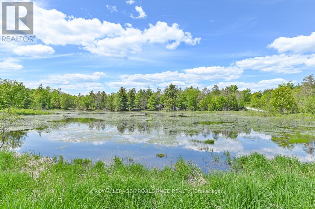429 Elzevir Road, Tweed, Ontario K0K 3J0 - Photo 34 - X12178827