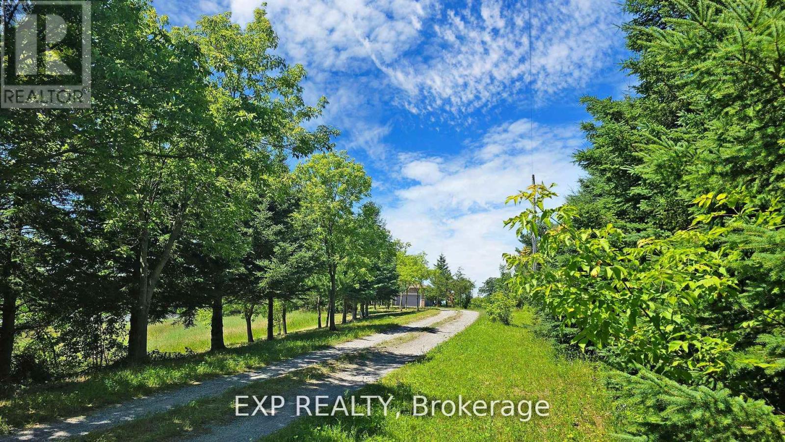296 Montgomery Road, Alnwick/haldimand, Ontario  K0K 2X0 - Photo 35 - X12155629