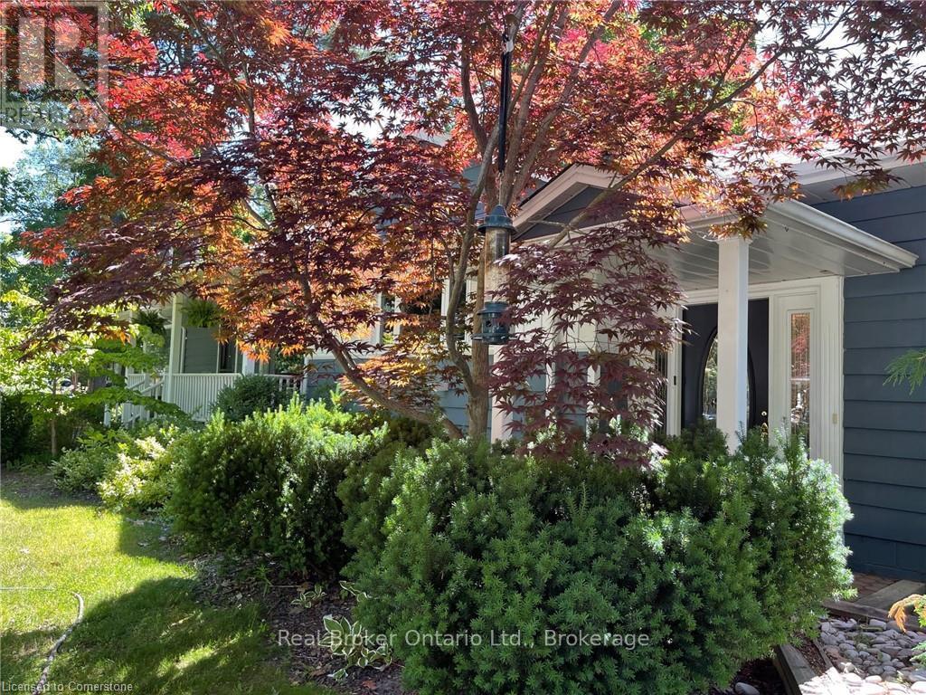 Property at 374 SPRUCE STREET image 4