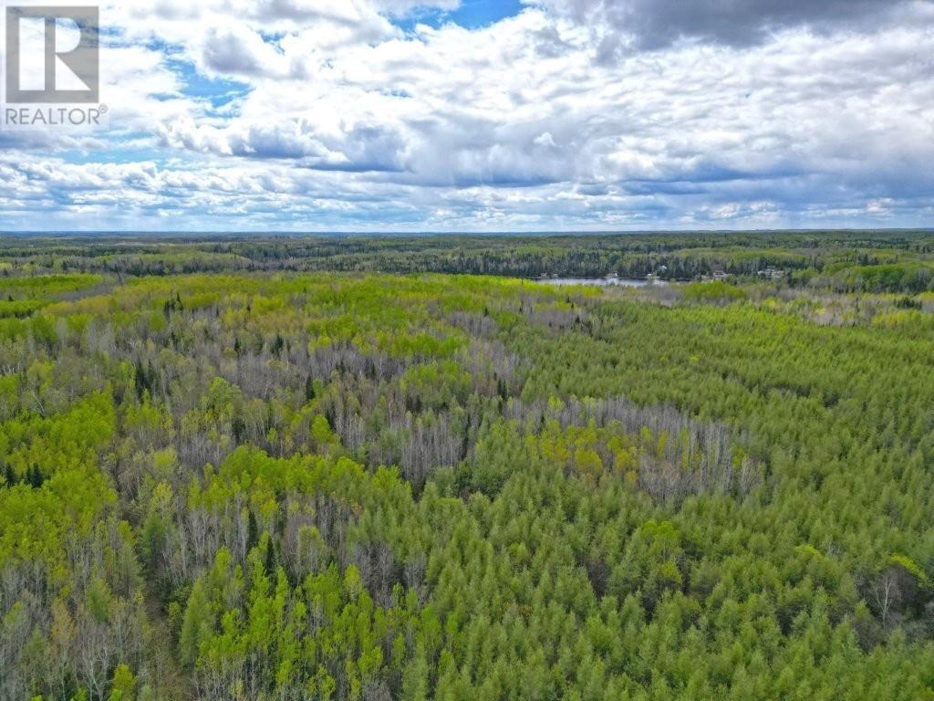 1191 Gonyou Road, Upsala, Ontario  P0T 2Y0 - Photo 12 - TB251398