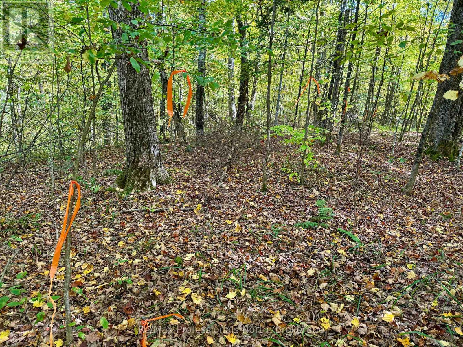 234 Longs Lake Road, Huntsville, Ontario  P0B 1M0 - Photo 10 - X12178880