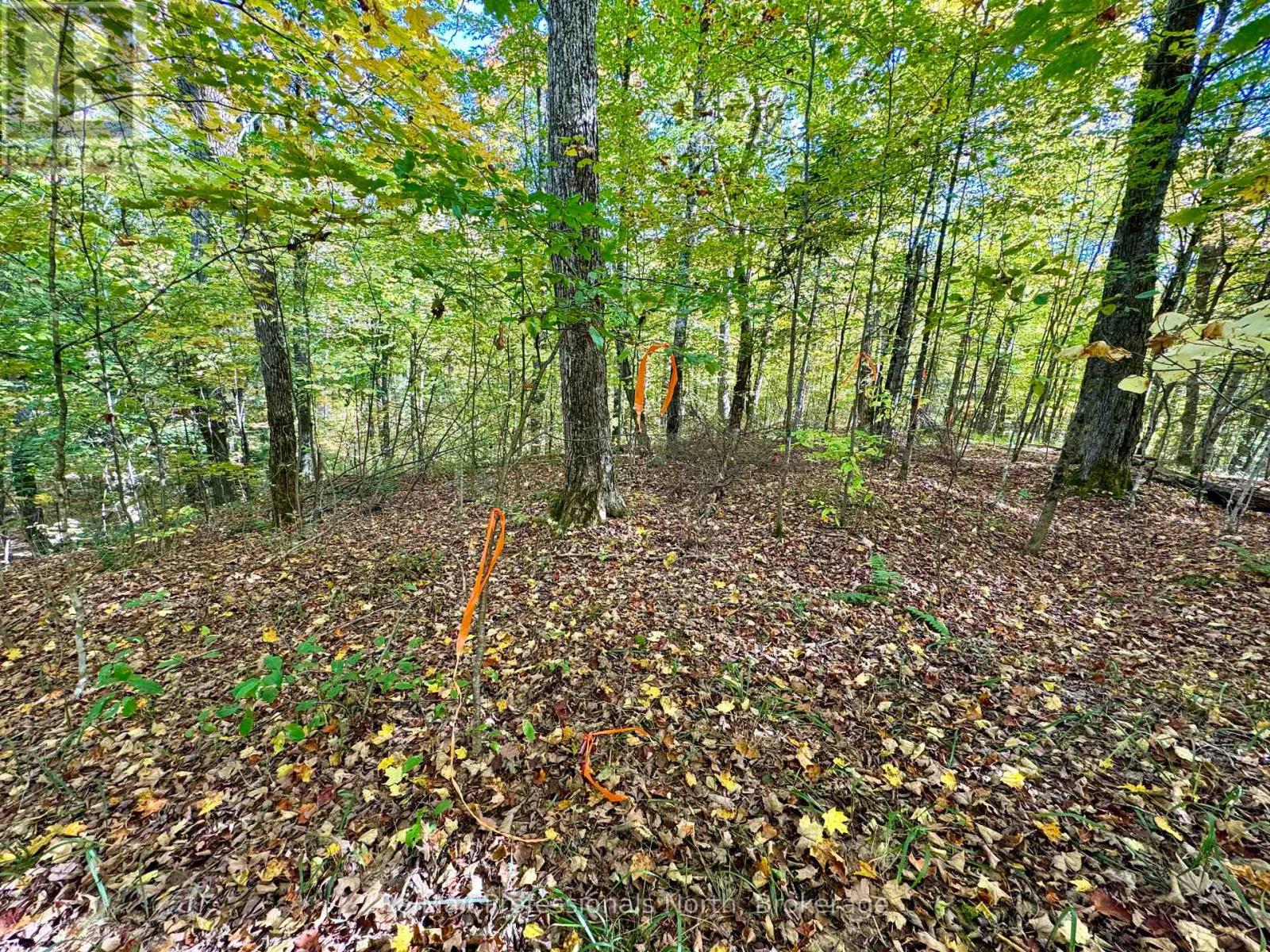 234 Longs Lake Road, Huntsville, Ontario  P0B 1M0 - Photo 11 - X12178880