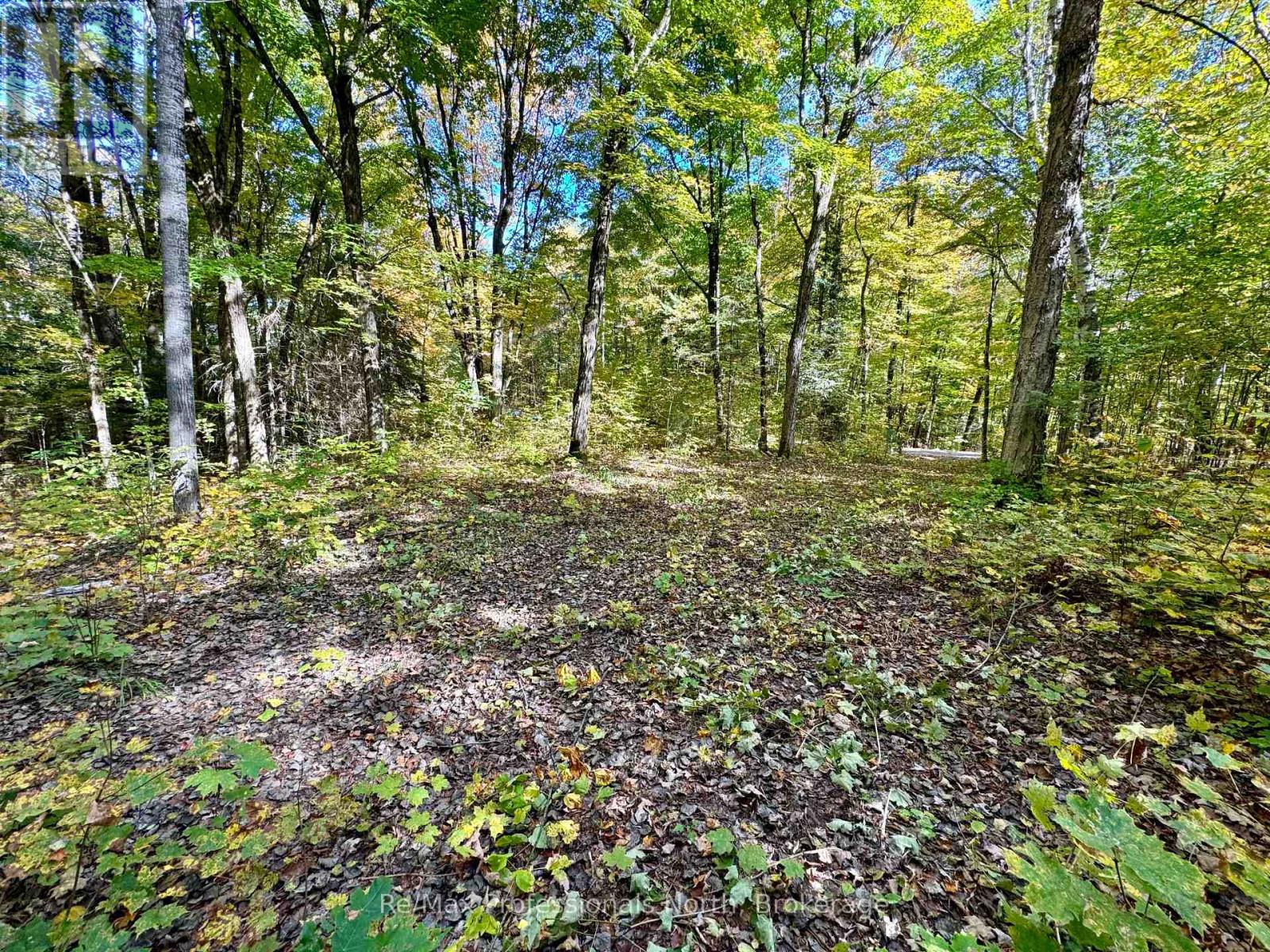 234 Longs Lake Road, Huntsville, Ontario  P0B 1M0 - Photo 6 - X12178880
