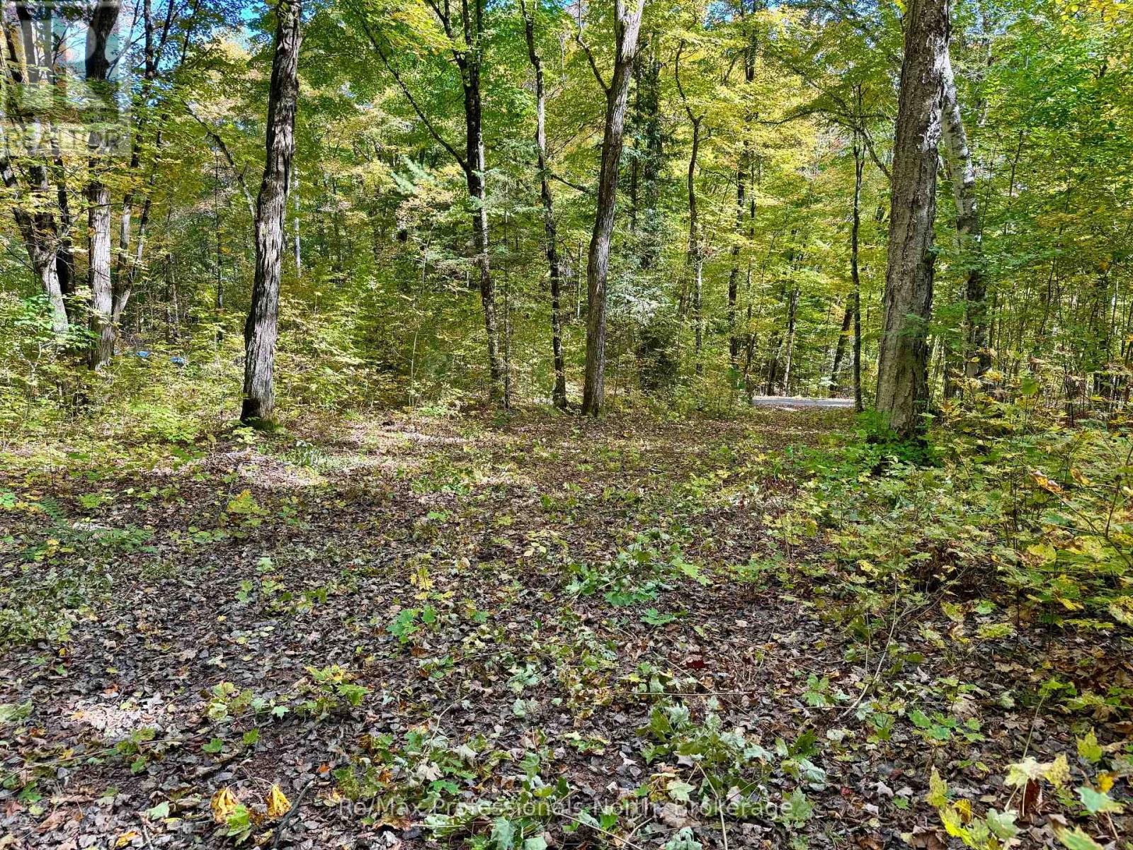234 Longs Lake Road, Huntsville, Ontario  P0B 1M0 - Photo 7 - X12178880