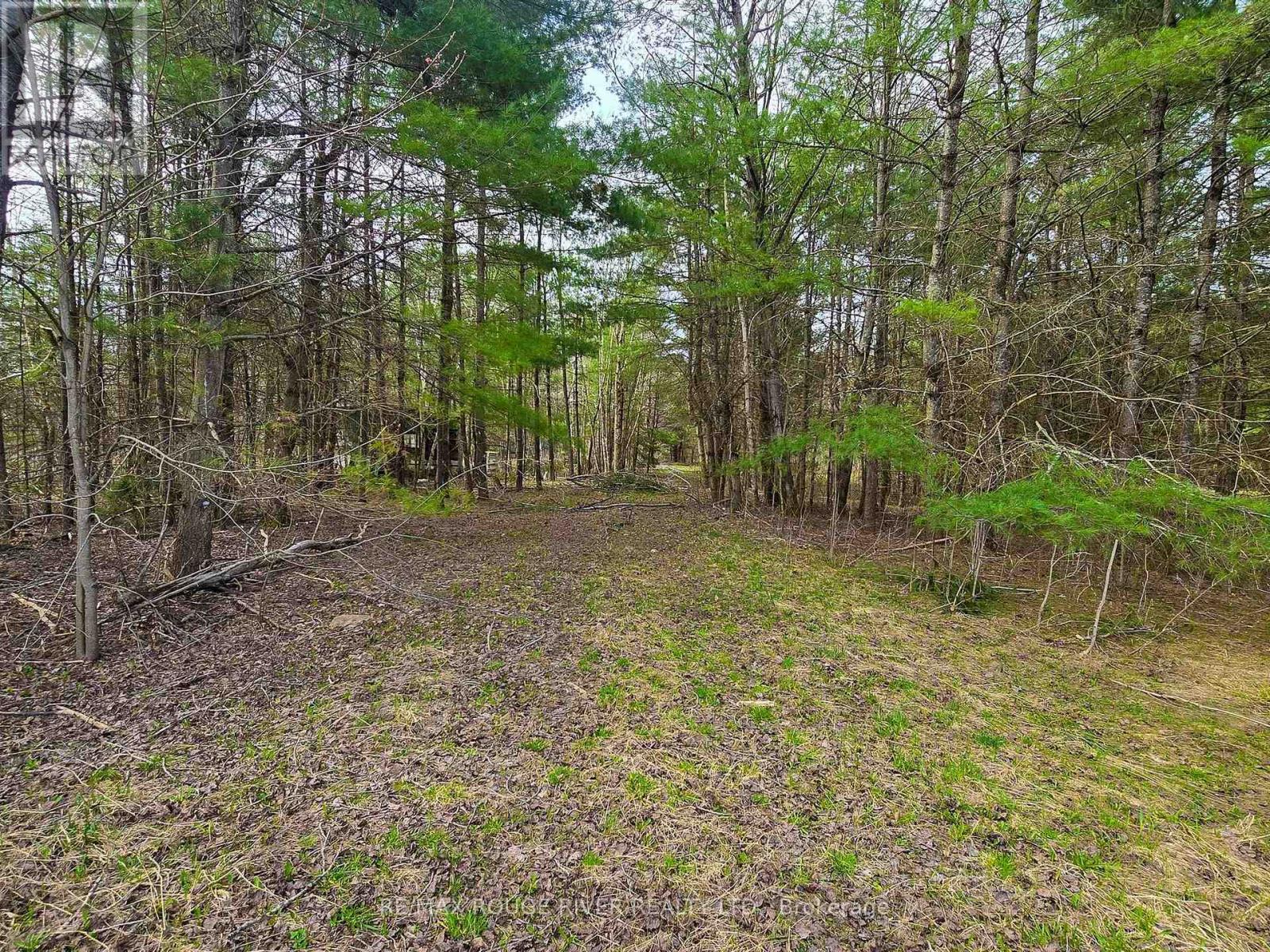 1205 Fair Grounds Road, Ramara, Ontario  L0K 1B0 - Photo 10 - S12126111