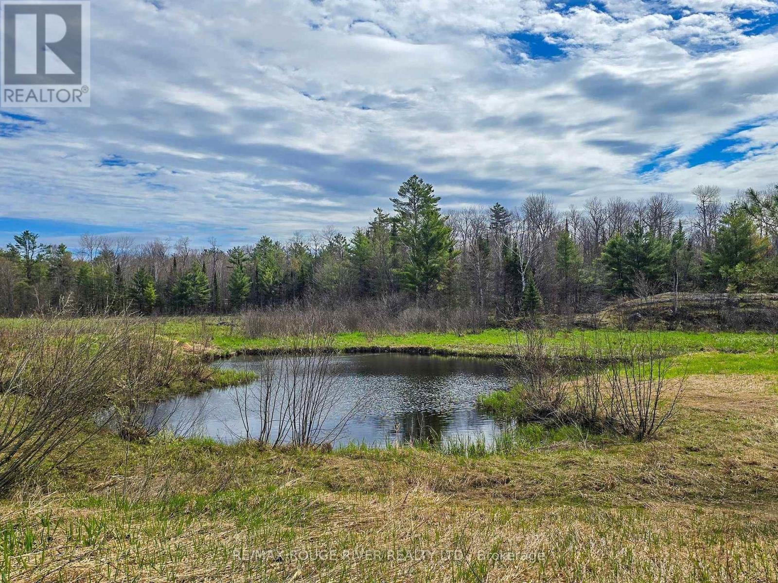 1205 Fair Grounds Road, Ramara, Ontario  L0K 1B0 - Photo 12 - S12126111