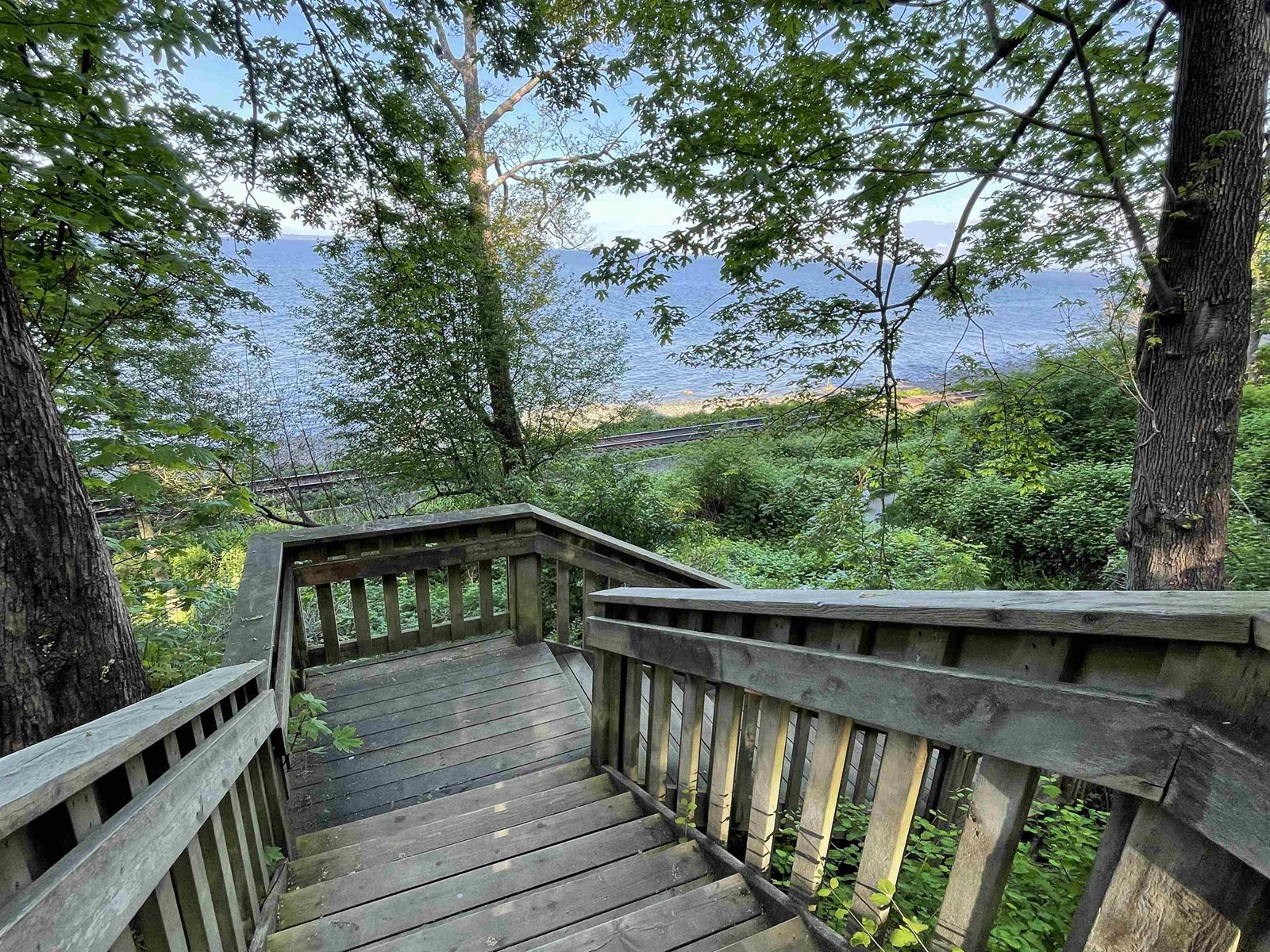 1537 131 Street, Surrey, British Columbia  V4A 4B1 - Photo 35 - R3007498