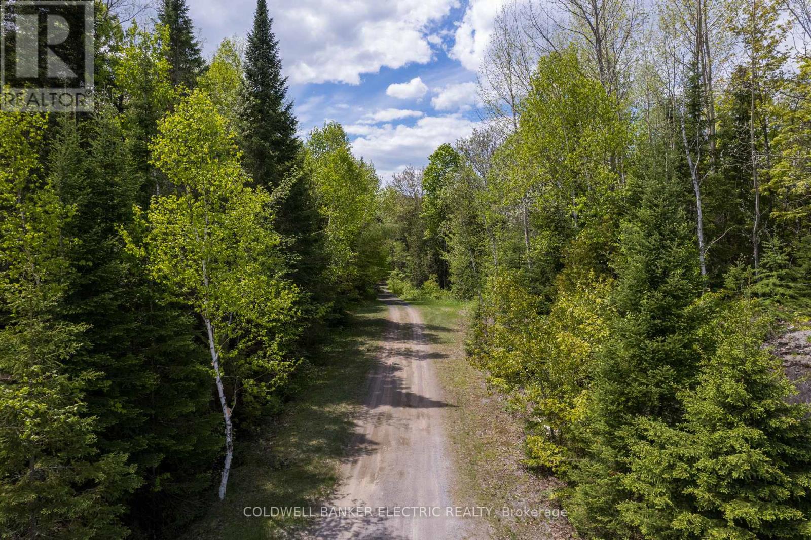 12642 Highway 28, North Kawartha, Ontario  K0L 1A0 - Photo 31 - X12089755