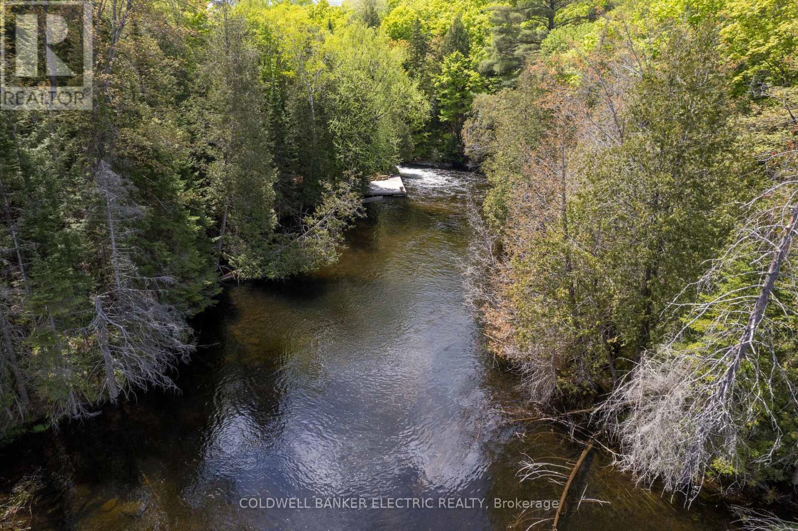 12642 Highway 28, North Kawartha, Ontario  K0L 1A0 - Photo 33 - X12089755