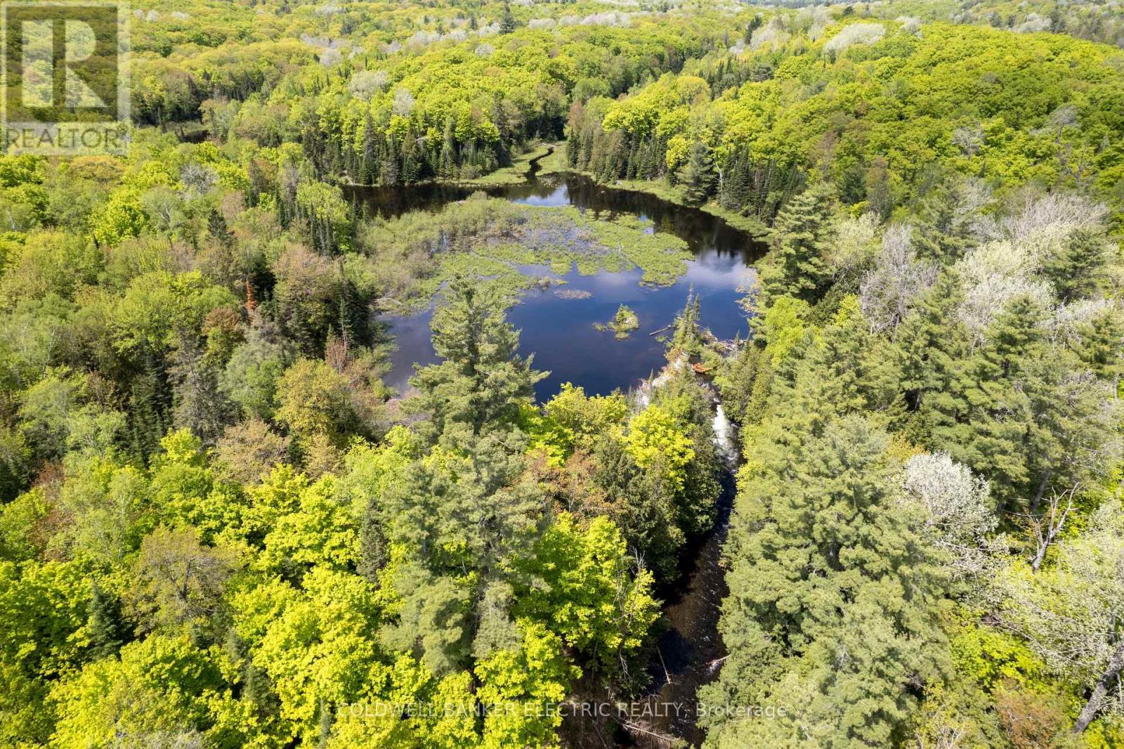 12642 Highway 28, North Kawartha, Ontario  K0L 1A0 - Photo 30 - X12089755