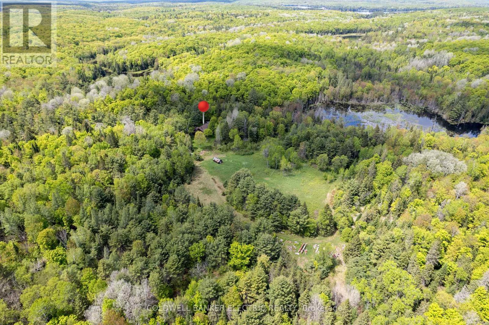 12642 Highway 28, North Kawartha, Ontario  K0L 1A0 - Photo 28 - X12089755