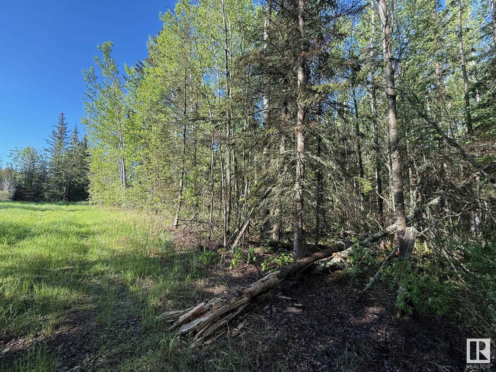 Ne-6-64- 22-W Of 4, Rural Athabasca County, Alberta  T0G 0R0 - Photo 8 - E4438639