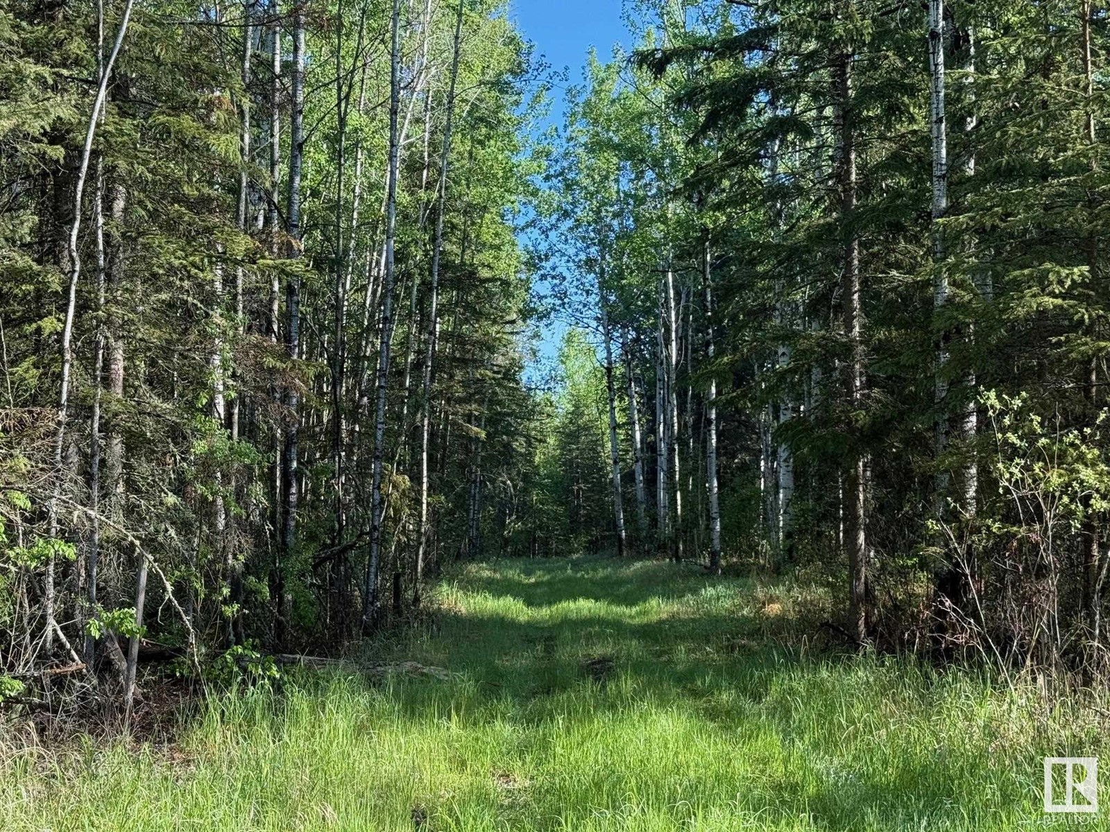 Ne-6-64- 22-W Of 4, Rural Athabasca County, Alberta  T0G 0R0 - Photo 2 - E4438639