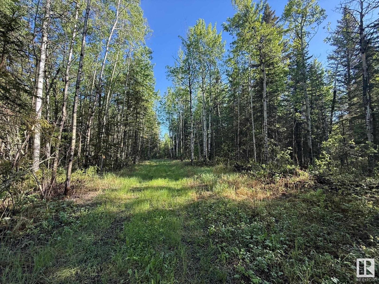 Ne-6-64- 22-W Of 4, Rural Athabasca County, Alberta  T0G 0R0 - Photo 6 - E4438639