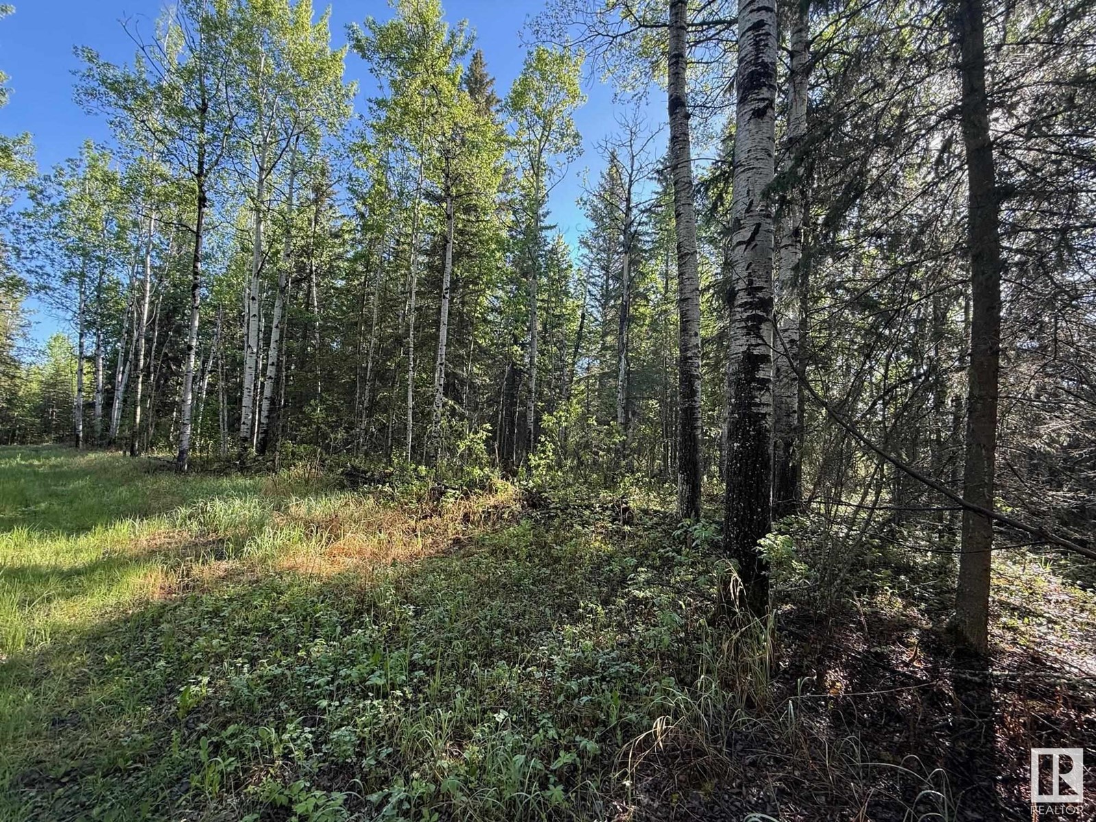 Ne-6-64- 22-W Of 4, Rural Athabasca County, Alberta  T0G 0R0 - Photo 5 - E4438639