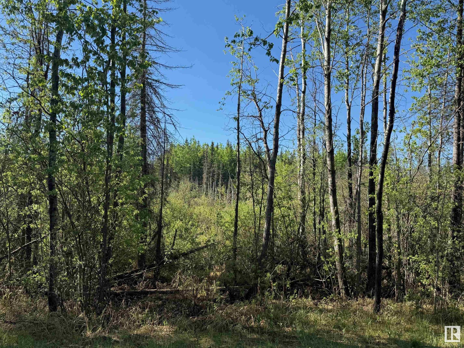 Ne-6-64- 22-W Of 4, Rural Athabasca County, Alberta  T0G 0R0 - Photo 10 - E4438639