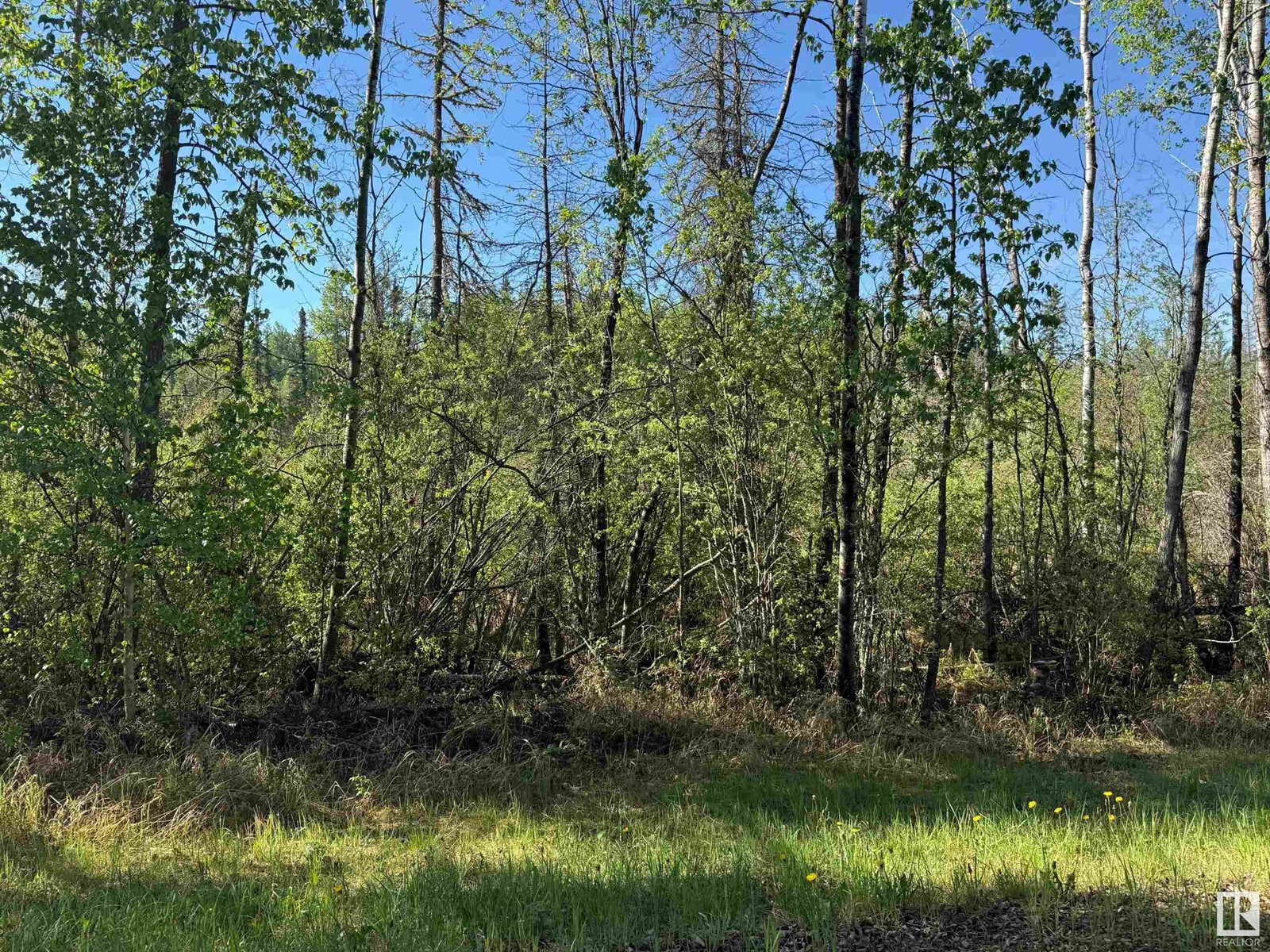 Ne-6-64- 22-W Of 4, Rural Athabasca County, Alberta  T0G 0R0 - Photo 9 - E4438639