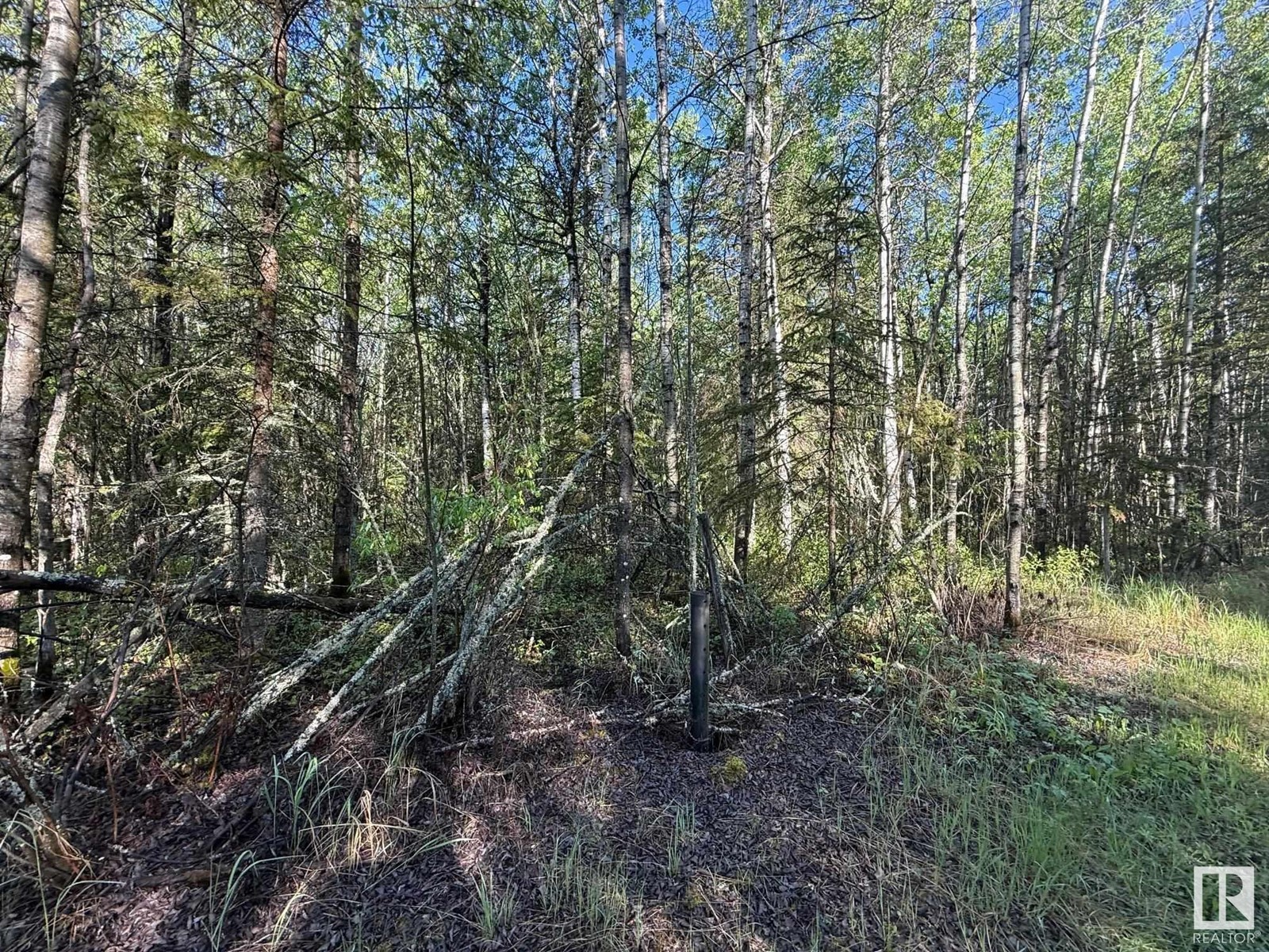 Ne-6-64- 22-W Of 4, Rural Athabasca County, Alberta  T0G 0R0 - Photo 7 - E4438639